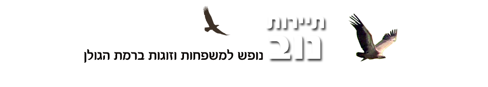 מושב נוב